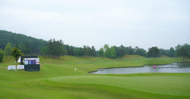 Bear Interrupts Women's Golf Tournament in Japan; Teen Named Winner
