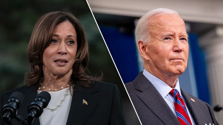 Biden's 2024 Campaign Undermines Democratic Party, Top Advisor Claims