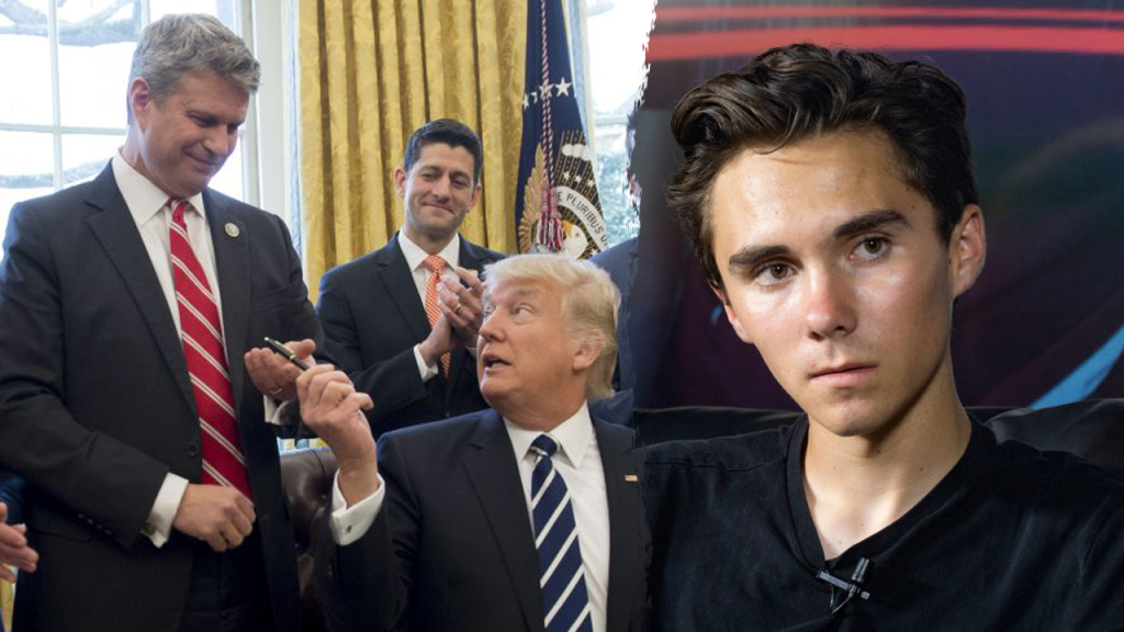 NRSC and DNC Present Contrasting Primary Strategies with Hogg in Focus