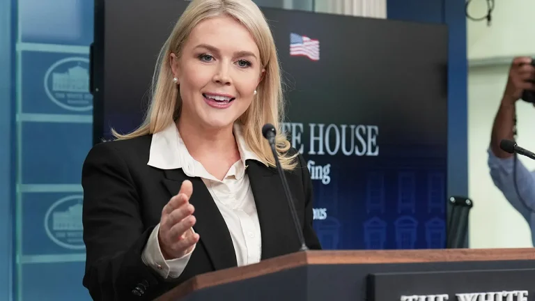 White House Criticizes Democrats as 'Radical' Following Passage of Major Legislation