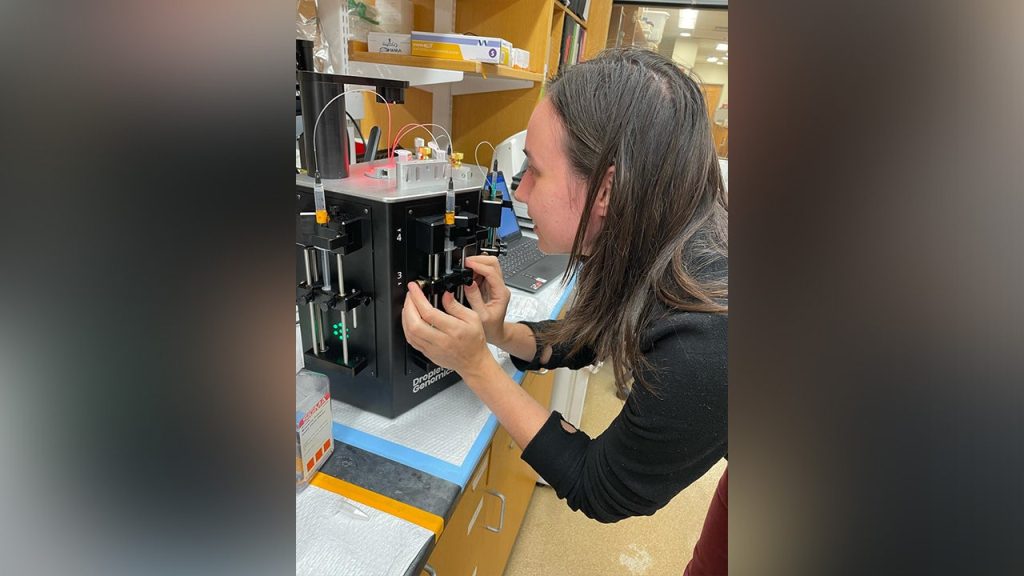 Harvard Researcher Arrested on Smuggling Charges