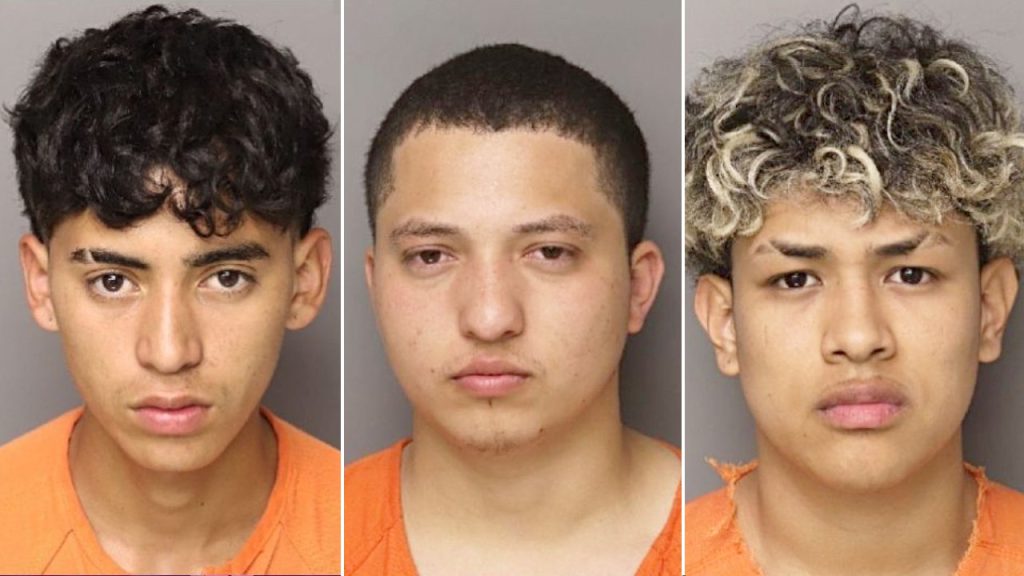 Six Illegal Immigrants Charged in South Carolina Mother's Murder, Sheriff Reports