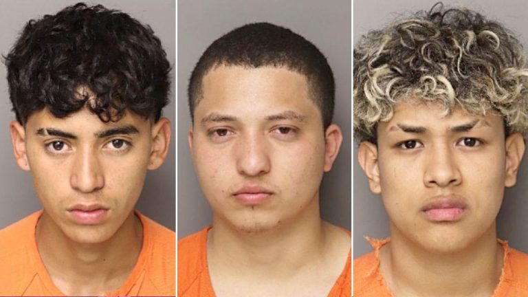 Six Illegal Immigrants Charged in South Carolina Mother's Murder, Sheriff Reports
