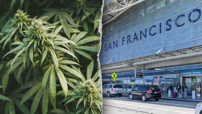 Woman's Luggage at San Francisco Airport Contains 151 Pounds of Cannabis