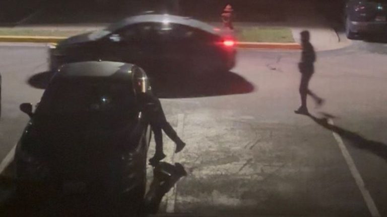 Maryland Teen Arrested for Breaking into 121 Cars, Released Soon After