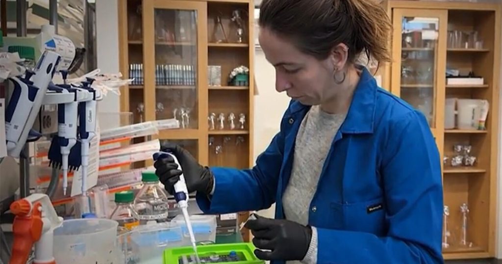 Health Expert Warns Trump's Medical Research Cuts Could Lead to "Reckless Destruction"