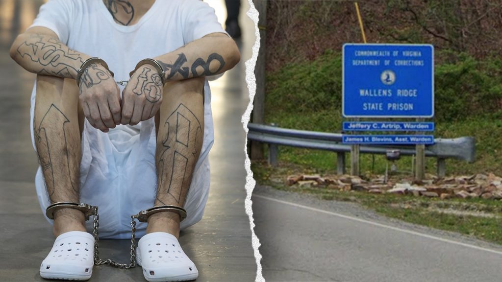 Virginia Corrections Officers Stabbed in Coordinated MS-13 Attack