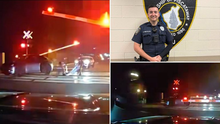 Cops Rescue Dazed Driver Moments Before Train Collision