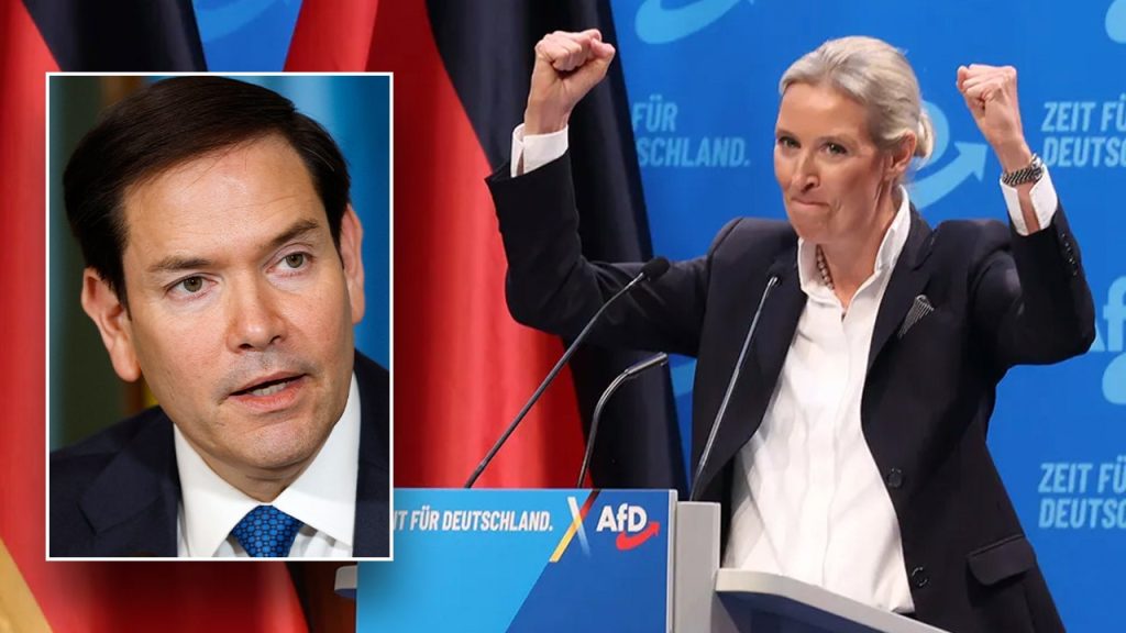 Germany's AfD Party Classified as 'Extremist' by Intelligence Agency