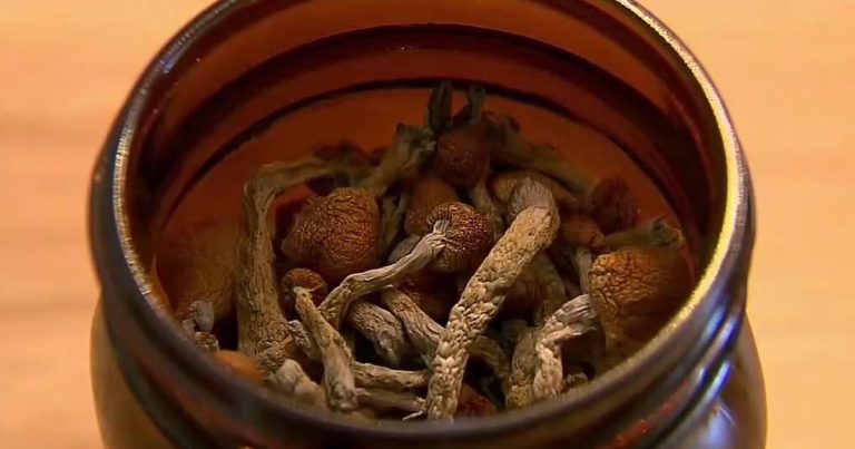 Psilocybin Therapy Shows Promise for Parkinson's Patients, Study Finds