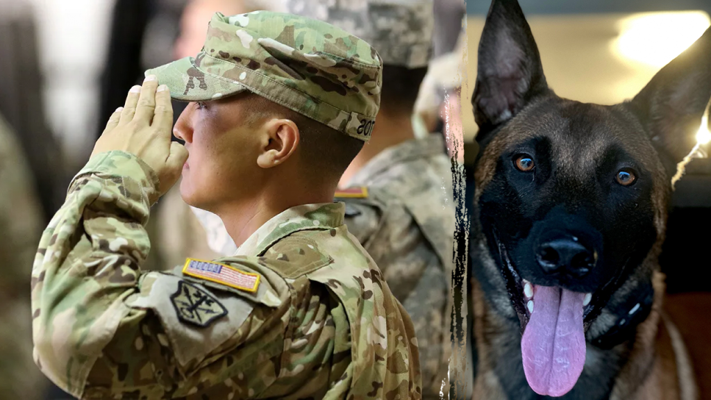 Marine Veteran's PTSD Journey Transformed by Service Dog Program