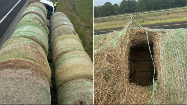 Texas Authorities Capture Alleged Human Smugglers Concealing Migrants in Hay Bales
