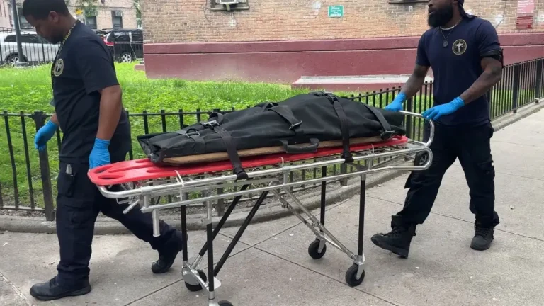 Infant Killed by Puppy Attack in New York City
