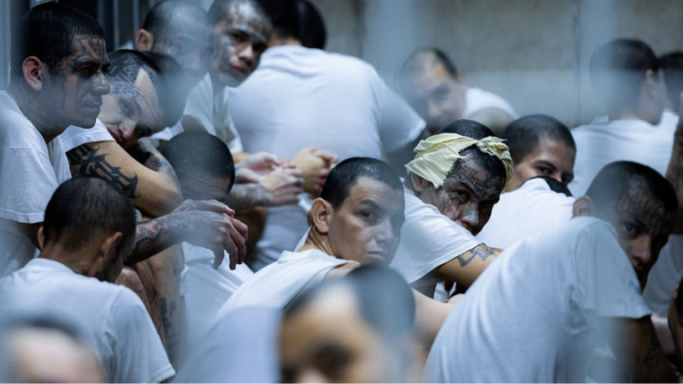 Expert Warns of Potential Violence from Emergent Venezuelan Gang 'Anti-Tren'