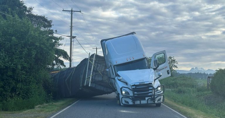 14 Million Bees Escape Following Truck Overturn in Washington State