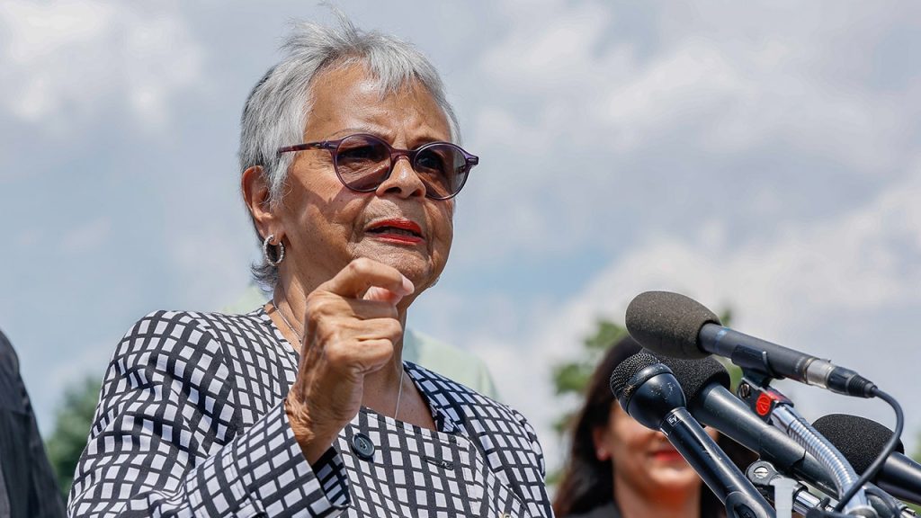 Democratic Lawmakers Support Actions at ICE Facility