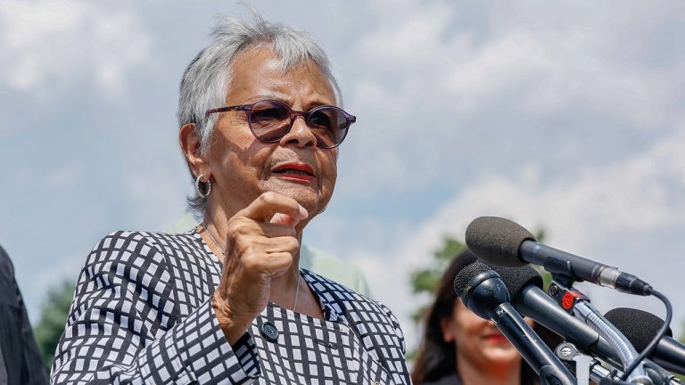 Democratic Lawmakers Support Actions at ICE Facility