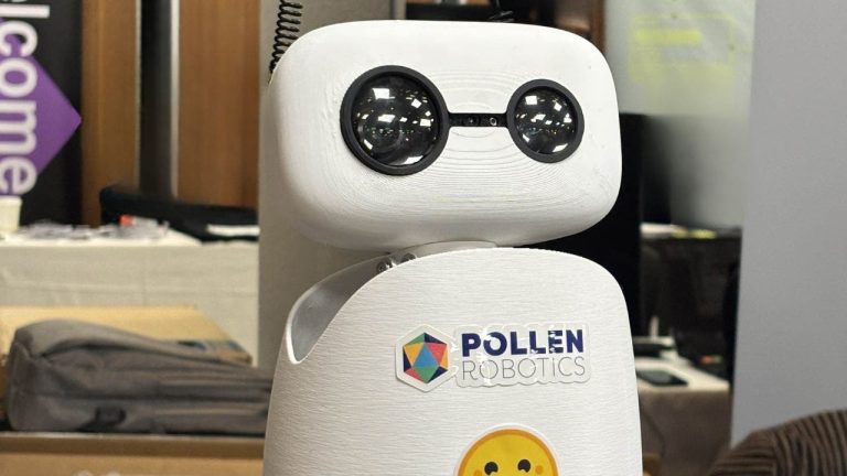 New Home Robots Enable Easy AI Accessibility for Everyone