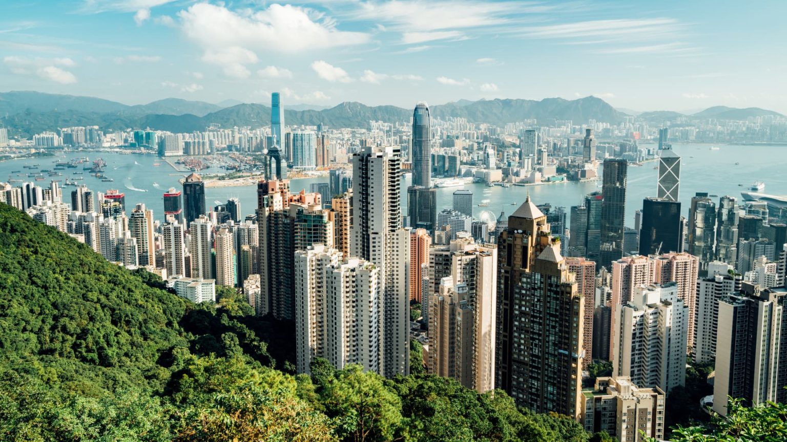 Regencell Bioscience Soars Threefold Amid Speculative Stock Surge Regencell Bioscience Soars Threefold Amid Speculative Stock Surge