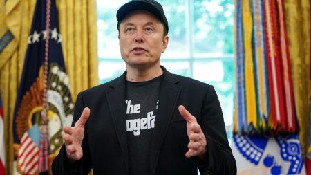 Elon Musk Deletes Posts on X Platform