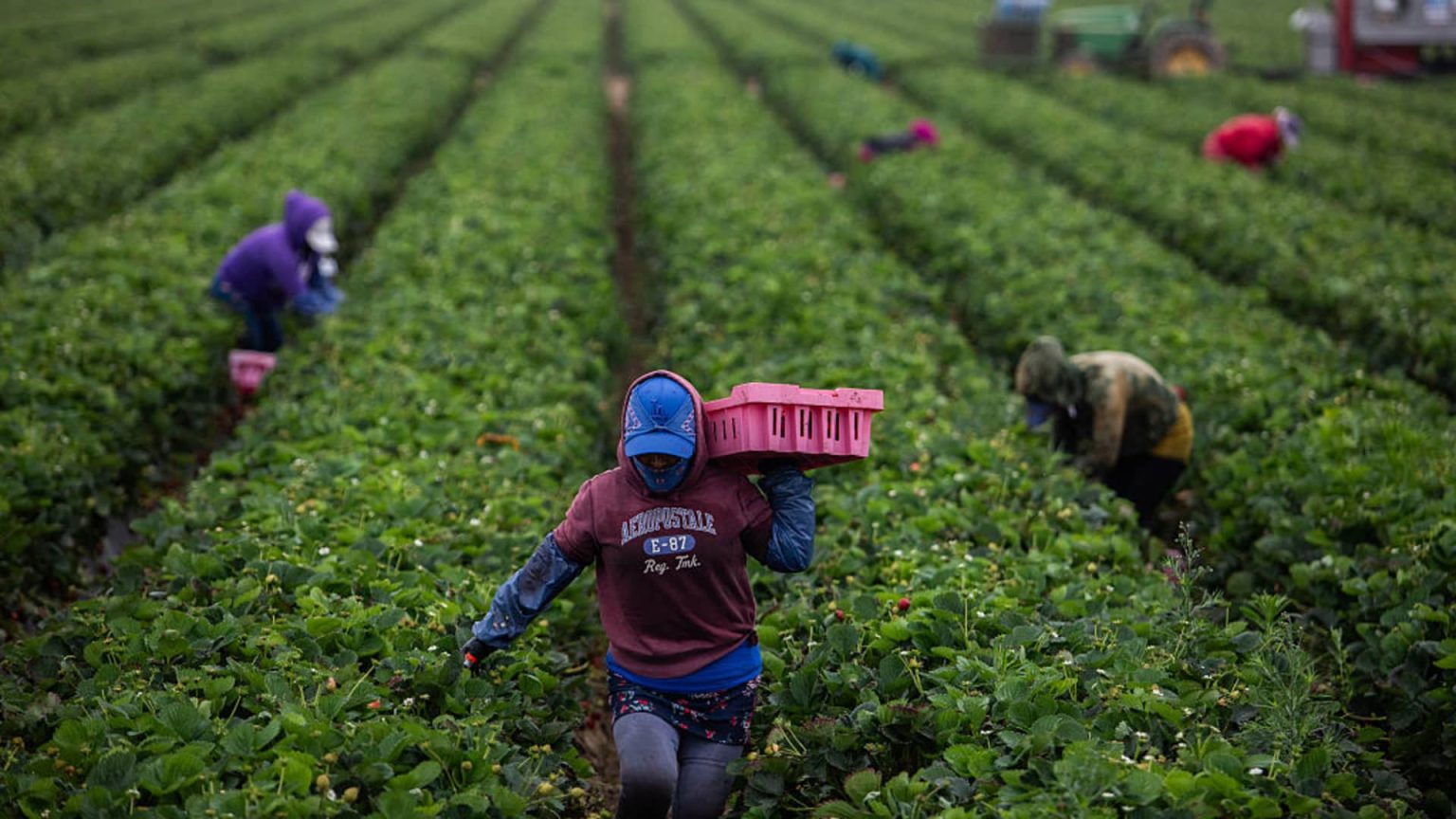 Trump Ends Temporary Protections for Long-Term Immigrant Workers Trump Ends Temporary Protections for Long-Term Immigrant Workers