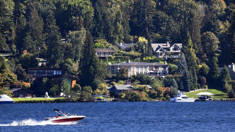 U.S. Gains 1,000 New Millionaires Daily in 2024