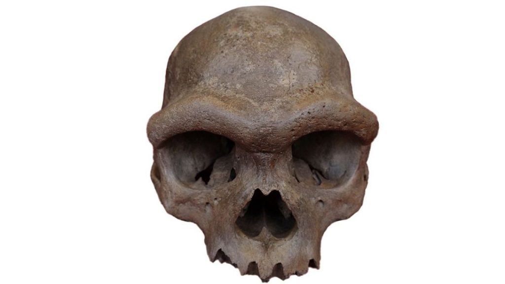 Ancient DNA Uncovers Mysterious Human Relative