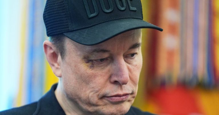 Musk Proposes New Political Party Amid Trump Divide