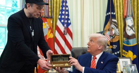 Trump and Musk: A Timeline of Their Evolving Relationship