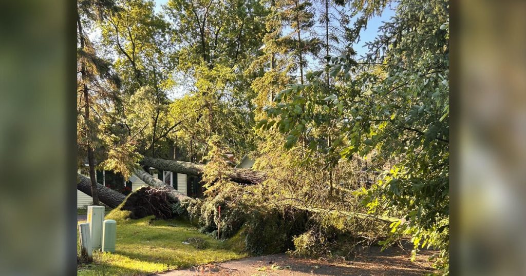 Tornado in North Dakota Leaves Three Dead; Northern Minnesota Hit by Severe Storm Damage