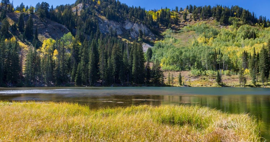 Sen. Mike Lee Excludes Public Lands Provision from Major Legislative Bill