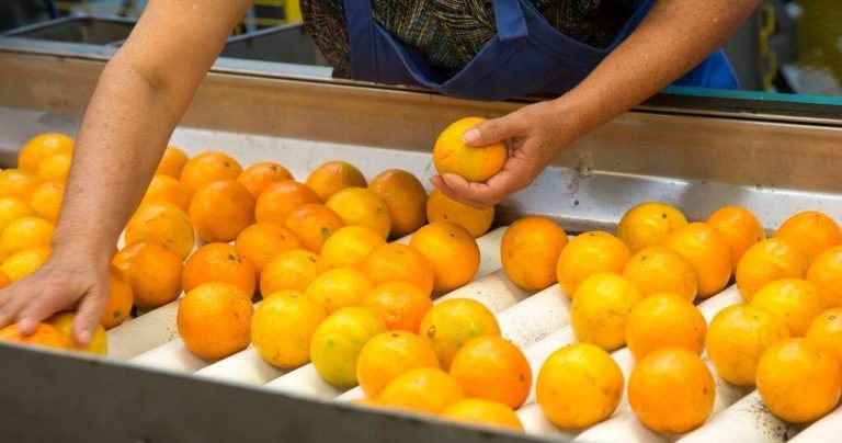 FDA Food Inspector Vacancies Approach 20% Following Hiring Freeze