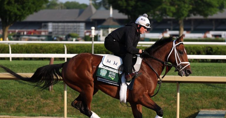 Belmont Stakes 2025: Meet the Competing Horses