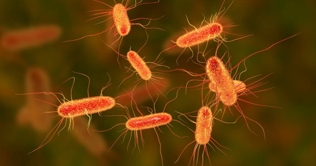 Girl Dies from Food Poisoning; 7 Others Sickened After Consuming Meat in France