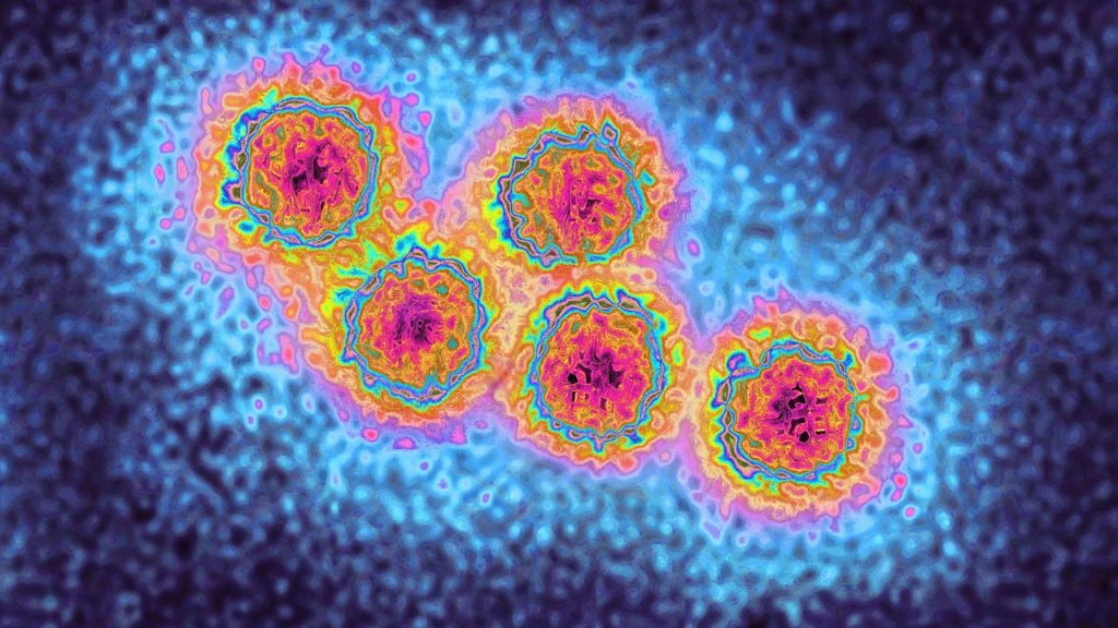 European Health Agency Alerts Travelers to Rising Hepatitis A Cases European Health Agency Alerts Travelers to Rising Hepatitis A Cases