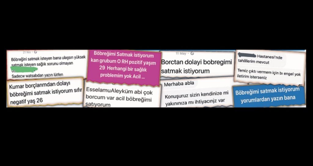 Controversial Ads Promoting Debt Relief and Kidney Sales Spark Outrage