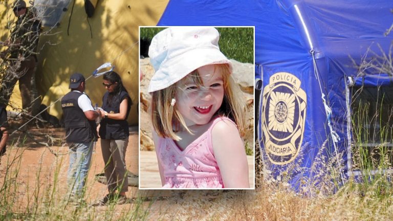 McCann Search Likely Driven by Insider Information, Expert Suggests