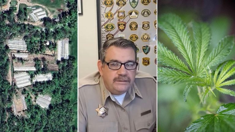 California Tribe Files Lawsuit Against Sheriff Over Cannabis Raids on Tribal Land Amid Cartel Allegations