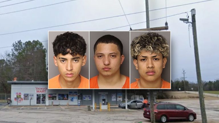 Illegal Immigrants Text 'Mission Fail' Following Random Murder of South Carolina Mother