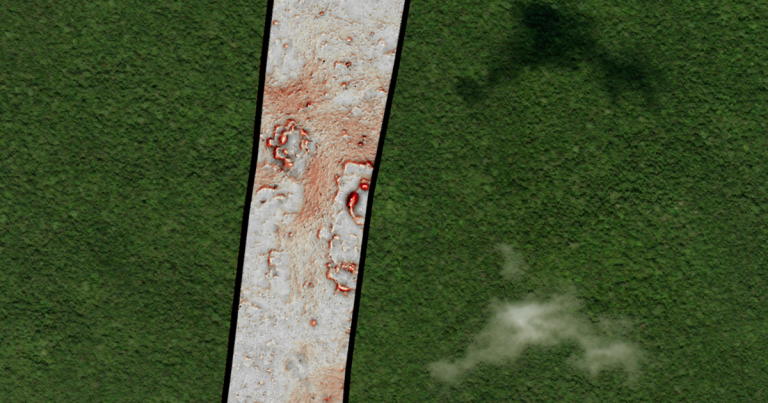 Hidden Maya City Unearthed in Mexican Jungle by Doctoral Student