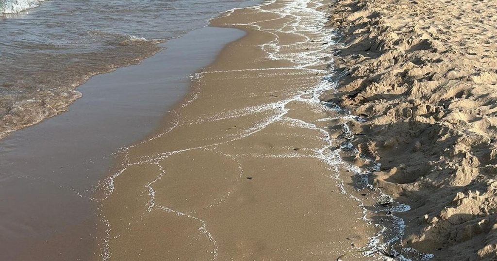 Valencia Region Beaches Closed Due to Mysterious Material Wash-Up