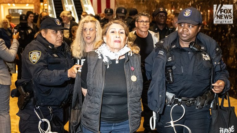 NYPD Detains Protesters Occupying Trump Tower Lobby Against ICE