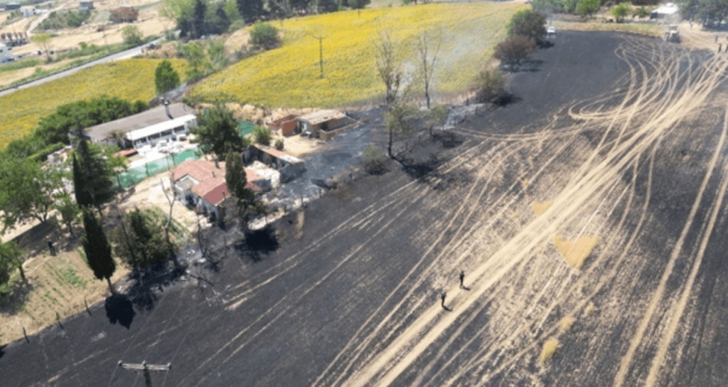Shocking Wildfires Consume 2,750 Decares of Farmland in Thrace Over Two Weeks