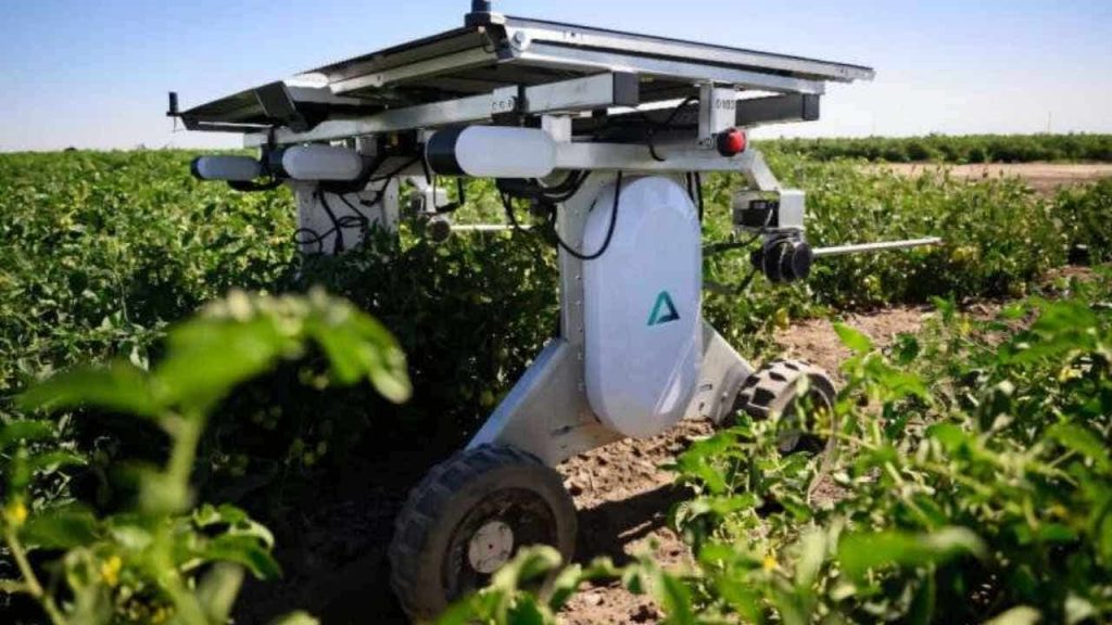 Solar-Powered Weeding Robots Provide Herbicide-Free Solution for Farmers