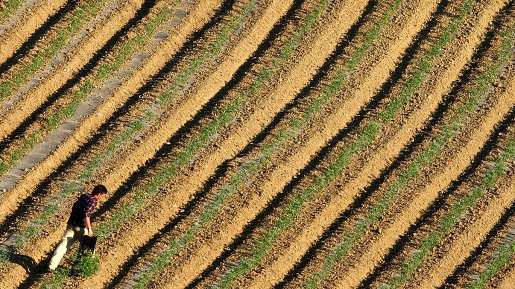 Greek Farm Fund Scandal Set to Affect EU Budget Approval, Warns Lead MEP