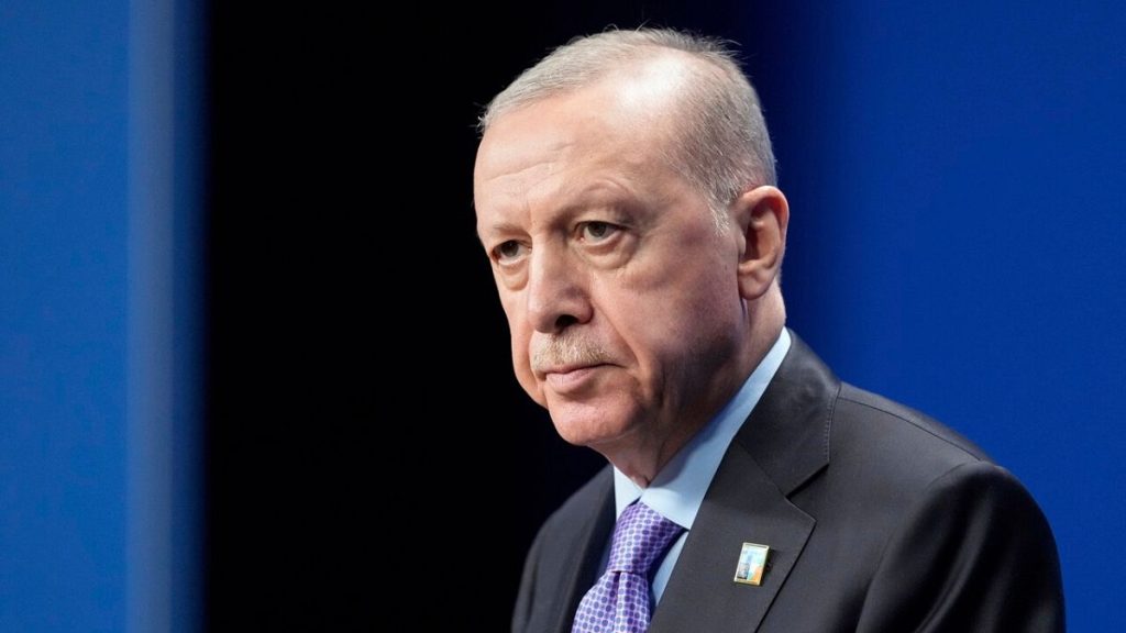 Turkey's Leader Claims PKK Disarmament Marks 'New Page in History'