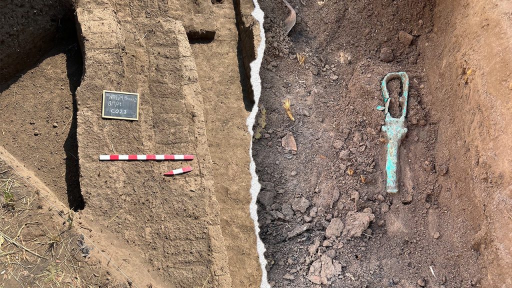 Ancient Tower Houses Discovered in Nile Delta Illuminate Thriving Ptolemaic City
