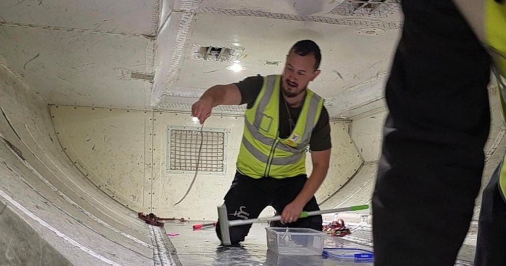Snake Delays Australian Flight by Two Hours After Discovery on Jet