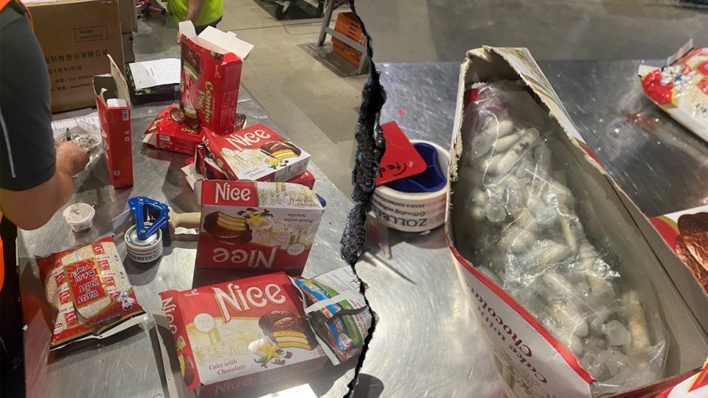Customs Officers Discover 1,500 Tarantulas Concealed in Cake Shipment