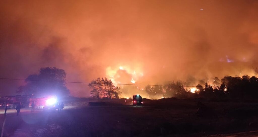 Forest Fire in Bursa: Ongoing Response Efforts